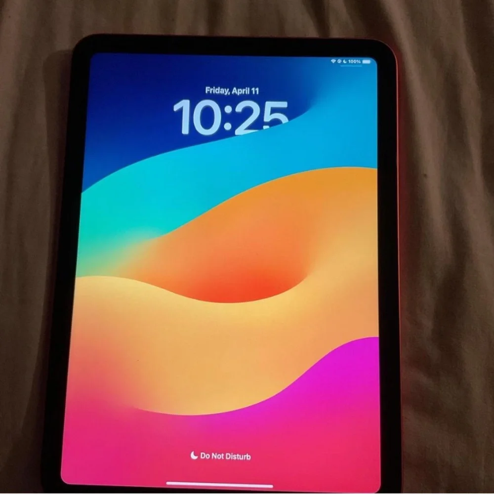Apple iPad - Blue and Pink